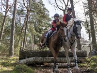 Spr Jagt i Tisvilde 4